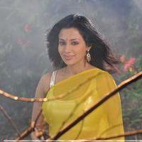 Flora Saini - Akasamlo Sagam Movie Hot Stills | Picture 280110