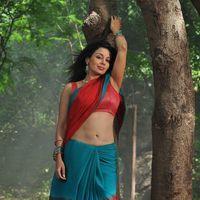 Flora Saini - Akasamlo Sagam Movie Hot Stills | Picture 280113