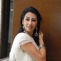Gayatri Iyer at 6 telugu Movie Audio Launch Stills | Picture 280372