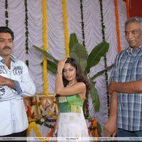 Madhavi Latha - Chudalani Cheppalani Movie Launch Stills | Picture 282170
