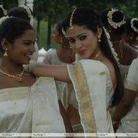 Sada Hot Stills at Mythri Movie | Picture 283009