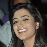 Nisha Agarwal - Sukumarudu Movie Audio Release Photos | Picture 420875