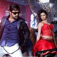 Jr.NTR in Badshah Movie Pictures | Picture 422254