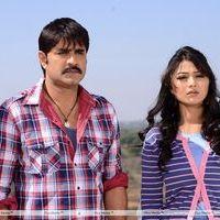 Srikanth - AVM Movies Production No 1 Movie Stills | Picture 422496