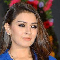 Hansika Hot Stills at Crazy Audio Release | Picture 424164