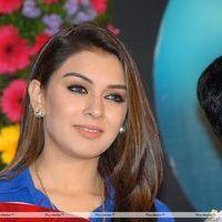 Hansika Hot Stills at Crazy Audio Release | Picture 424165