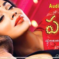 Pavithra Movie Audio Release Wallpapers