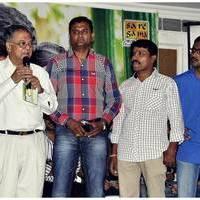 Pelli Pusthakam Movie Audio Launch Pictures | Picture 425844