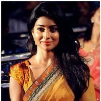 Shriya Saran - Pavithra Movie Audio Release Pictures | Picture 426780