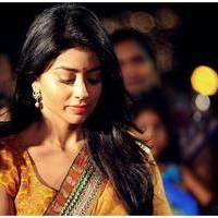 Shriya Saran - Pavithra Movie Audio Release Pictures