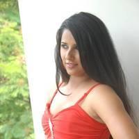 Shravya Reddy Hot Images at NRI Movie Platinum Disc Function | Picture 427988