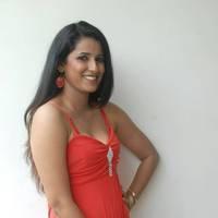 Shravya Reddy Hot Images at NRI Movie Platinum Disc Function | Picture 428020