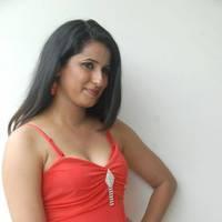 Shravya Reddy Hot Images at NRI Movie Platinum Disc Function | Picture 428059