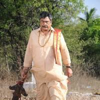 Krishnam Raju - Actor Krishnam Raju in Chandee Movie | Picture 431579