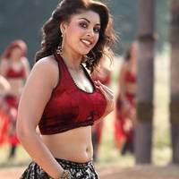 Actress Richa Gangopadhyay Hot Images | Picture 431446