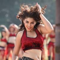 Actress Richa Gangopadhyay Hot Images | Picture 431450
