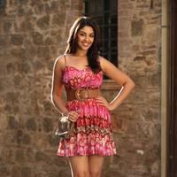Actress Richa Gangopadhyay Hot Images | Picture 431459