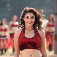 Actress Richa Gangopadhyay Hot Images | Picture 431463