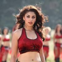Actress Richa Gangopadhyay Hot Images | Picture 431475