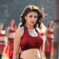 Actress Richa Gangopadhyay Hot Images | Picture 431477
