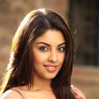 Actress Richa Gangopadhyay Hot Images | Picture 431479