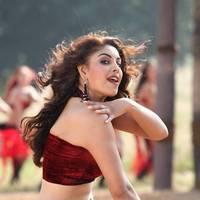 Actress Richa Gangopadhyay Hot Images | Picture 431486