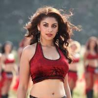 Actress Richa Gangopadhyay Hot Images | Picture 431489