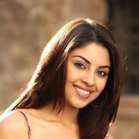 Actress Richa Gangopadhyay Hot Images | Picture 431490