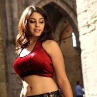 Actress Richa Gangopadhyay Hot Images | Picture 431508