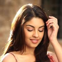 Actress Richa Gangopadhyay Hot Images | Picture 431516