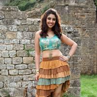 Actress Richa Gangopadhyay Hot Images | Picture 431518