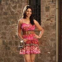 Actress Richa Gangopadhyay Hot Images | Picture 431519