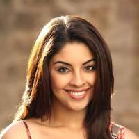 Actress Richa Gangopadhyay Hot Images | Picture 431521