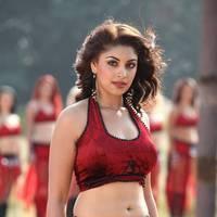 Actress Richa Gangopadhyay Hot Images | Picture 431523