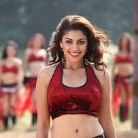 Actress Richa Gangopadhyay Hot Images | Picture 431525