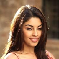 Actress Richa Gangopadhyay Hot Images | Picture 431526