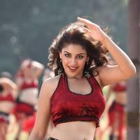 Actress Richa Gangopadhyay Hot Images | Picture 431527