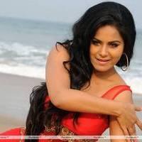Rachana Mourya New Hot Images | Picture 431855