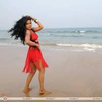 Rachana Mourya New Hot Images | Picture 431857
