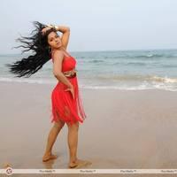 Rachana Mourya New Hot Images | Picture 431865