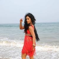 Rachana Mourya New Hot Images | Picture 431870