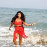 Rachana Mourya New Hot Images | Picture 431876