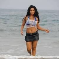 Rachana Mourya New Hot Images | Picture 431878