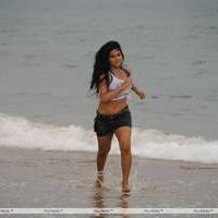 Rachana Mourya New Hot Images | Picture 431880