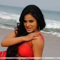 Rachana Mourya New Hot Images | Picture 431891
