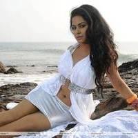 Rachana Mourya New Hot Images | Picture 431896