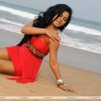 Rachana Mourya New Hot Images | Picture 431897