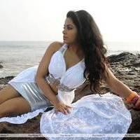 Rachana Mourya New Hot Images | Picture 431900