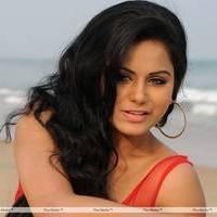 Rachana Mourya New Hot Images | Picture 431910
