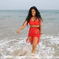 Rachana Mourya New Hot Images | Picture 431920